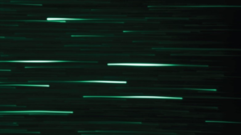 الجمهور المستهدف